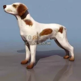 Puppy Dog White Brown Fur 3d model