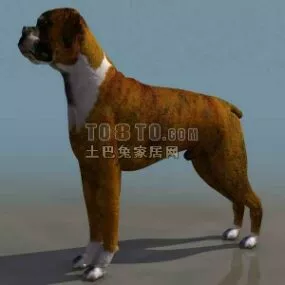 Brown Puppy Dog Animal 3d model
