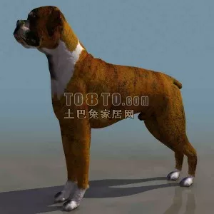 Monster Puppy 3d model