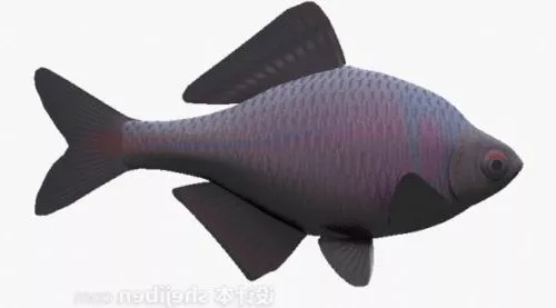 Deep Ocean Monster Fish 3d model