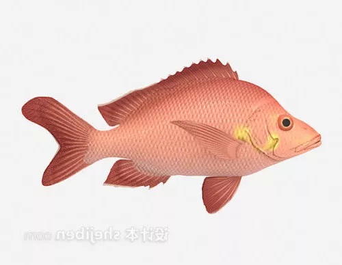 Water Red Fish 3d model Water Red Fish 3d model
