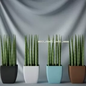 Indoor Room Potted Plant 3d model