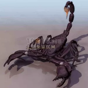 Brown Scorpion 3d model Brown Scorpion 3d model