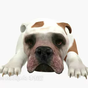 Small Dog Animal 3d model