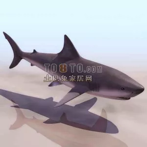Mantis Animal 3d model