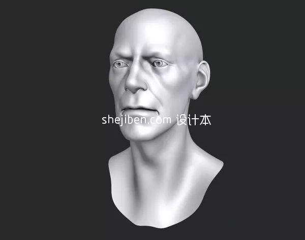 Simple Head Sculpture 3d model Simple Head Sculpture 3d model