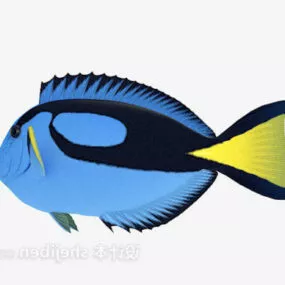 Small Blue Fish 3d model