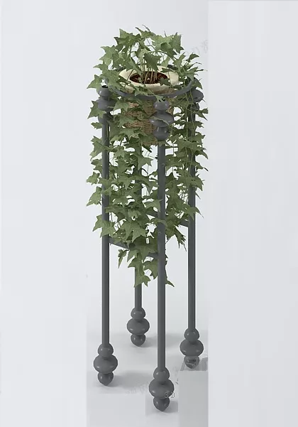 Potted Leaf Plant 3d model