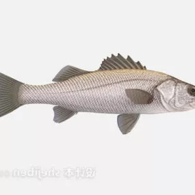 Small Fish 3d model