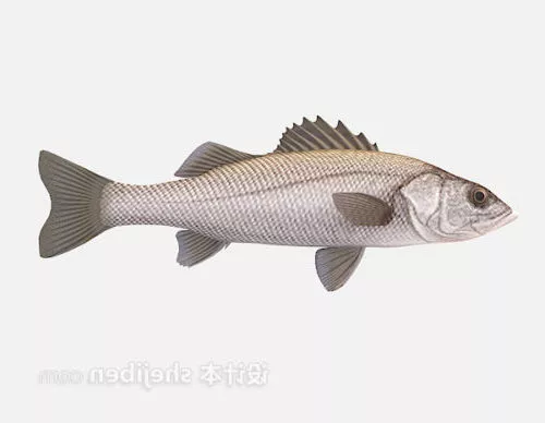 Yellow Boxfish Animated 3d model