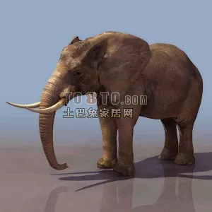 Cute Toy Elephant For Kids 3d model