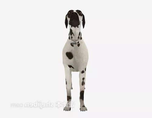 Yellow Dog 3d model