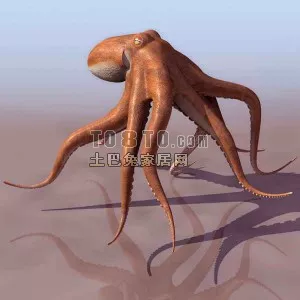 Octopus Base Mesh 3d model
