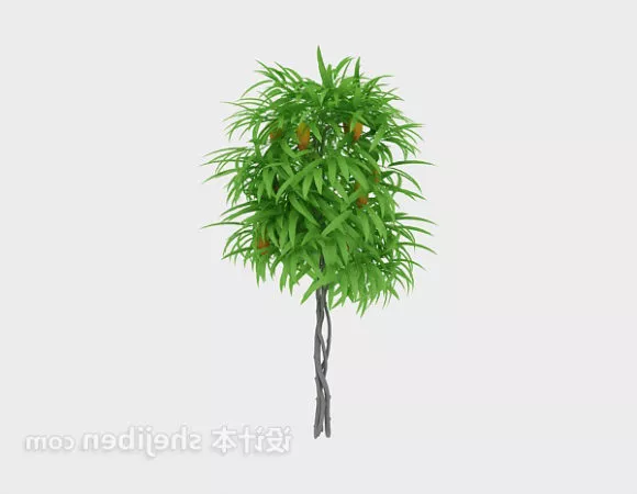 Ficus 3d model