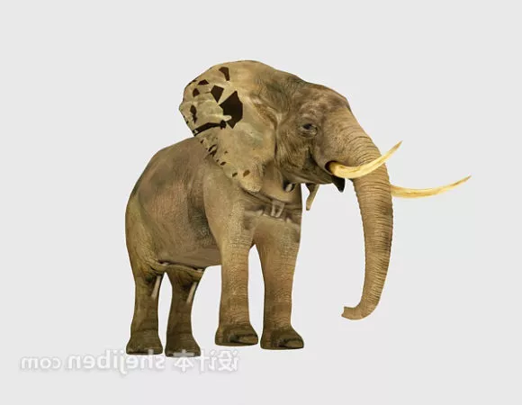 Brass Figurine Elephant Walking Pose 3d model