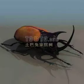Dung Beetles Animal 3d model