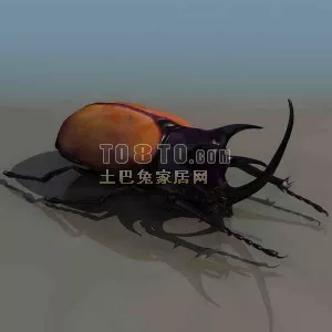 Dung Beetles Animal 3d model Dung Beetles Animal 3d model