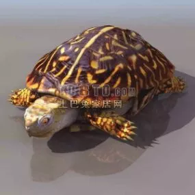 Tortoise Lowpoly Animal 3d model