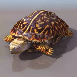 Tortoise Lowpoly Animal 3d model Tortoise Lowpoly Animal 3d model