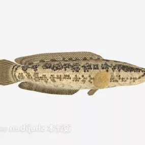 Ugly Fish 3d model