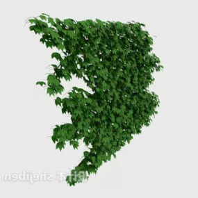 Realistic Ivy Hedge 3d model