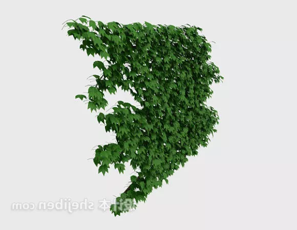Realistic Ivy Hedge 3d model Realistic Ivy Hedge 3d model