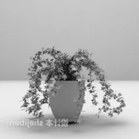 Vine Plant Potted 3d model