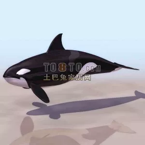Giant Sea Humpback Whale 3d model