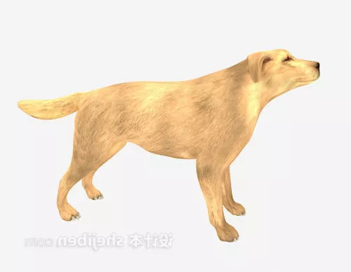 Doberman Dog Pinscher 3d model