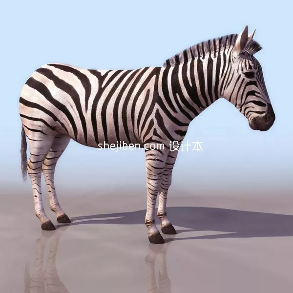 African Zebra Horse 3d model African Zebra Horse 3d model