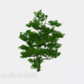 Realistic Pine Tree 3d model