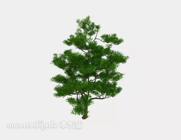 Large Indoor Potted Plant 3d model