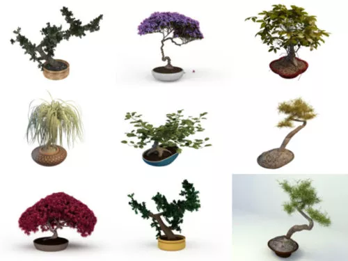 10 Bonsai Free 3D Models – Week 2020-39