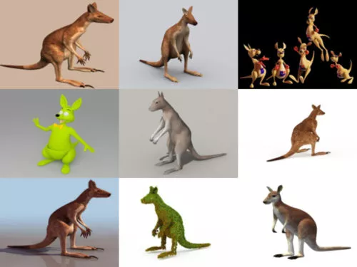 10 Realistic Kangaroo Free 3D Models Collection
