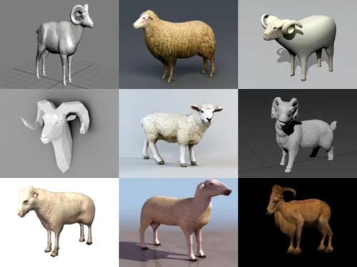 10 Realistic Sheep Free 3D Models Collection