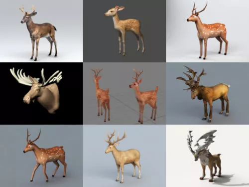 15 Realistic Deer 3D Models High Quality Collection