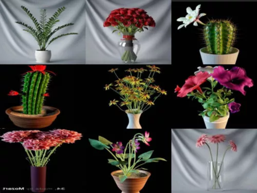 15 Realistic Flower Potted Free 3D Models Collection