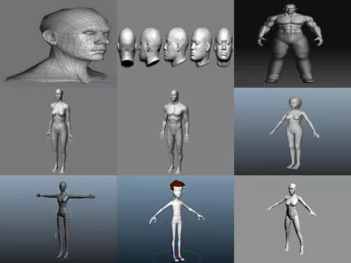 20 Low Poly Base Mesh Female & Male 3D Models