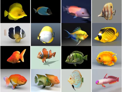 20 Realistic Aquarium Fish Free 3D Models