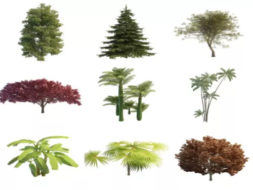 20 Realistic Tree Free 3D Models Collection