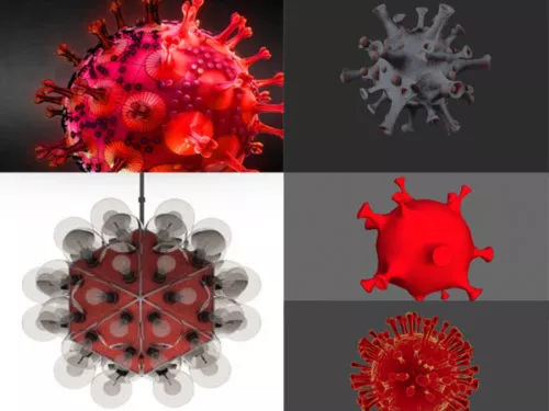 5 Bacteria Virus Free 3D Models Collection