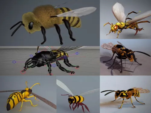 Realistic Bee 3D Models Collection