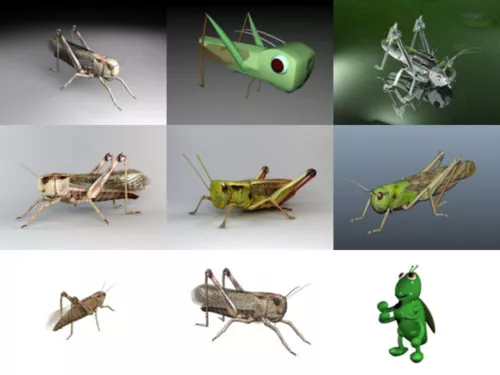 Top 10 Grasshopper Free 3D Models Collection