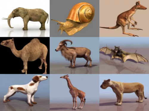 Top 12 Animal Free 3D Models – Week 2020-39