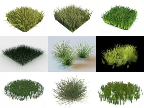 Top 15 Realistic Grass 3D Models Collection