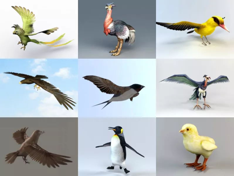 10 Bird Animal 3D Models Collection – Week 2020-43