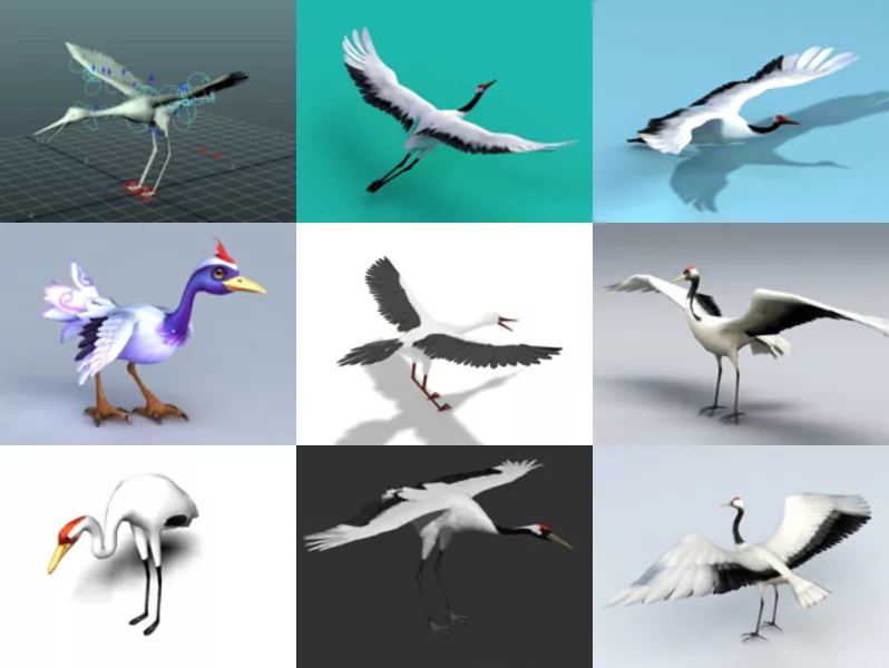10 Crane Bird Free 3D Models Collection