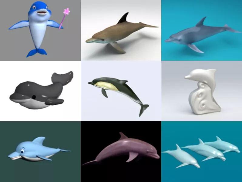 10 Dolphin 3D Models Collection – Week 2020-44