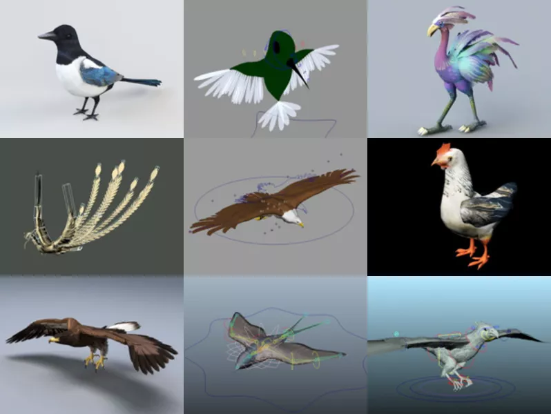 10 Animal Bird Rigged 3D Models – Week 2020-43