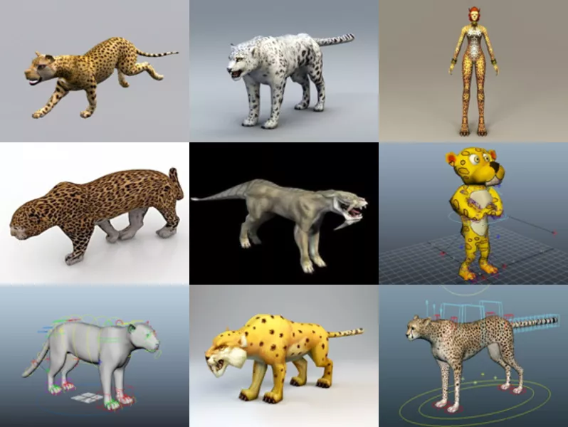 10 Leopard 3D Models Collection – Week 2020-44